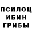 Псилоцибиновые грибы Psilocybine cubensis Victoria Hibliak